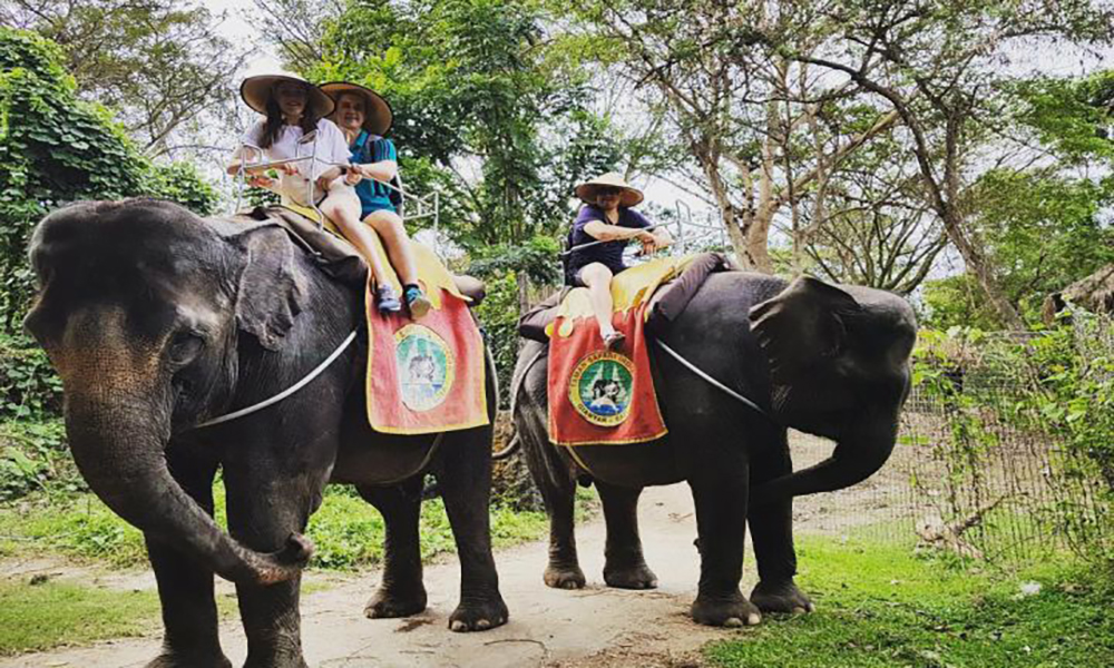 Paket Bali Safari Naik Gajah