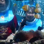 Sea Walker - Paket Wisata Bali