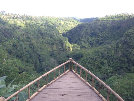 Paket Wisata Bali - Desa Pinggan