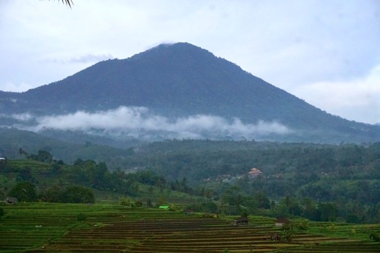 Paket Wisata Bali - Gunung Batukaru Tabanan