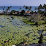 Lotus Lagoon Candidasa- Paket Wisata Bali