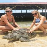 Glass Bottom Boat dan Pulau Penyu - Paket Wisata Bali