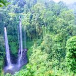 Air Terjun Sekumpul - Paket Wisata Bali