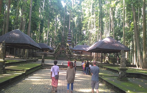 paket wisata sangeh terkenal dengan moyet