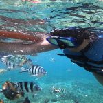 Bali Snorkeling - Paket Wisata Bali