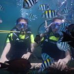 Pantai Tulamben - Paket Wisata Bali