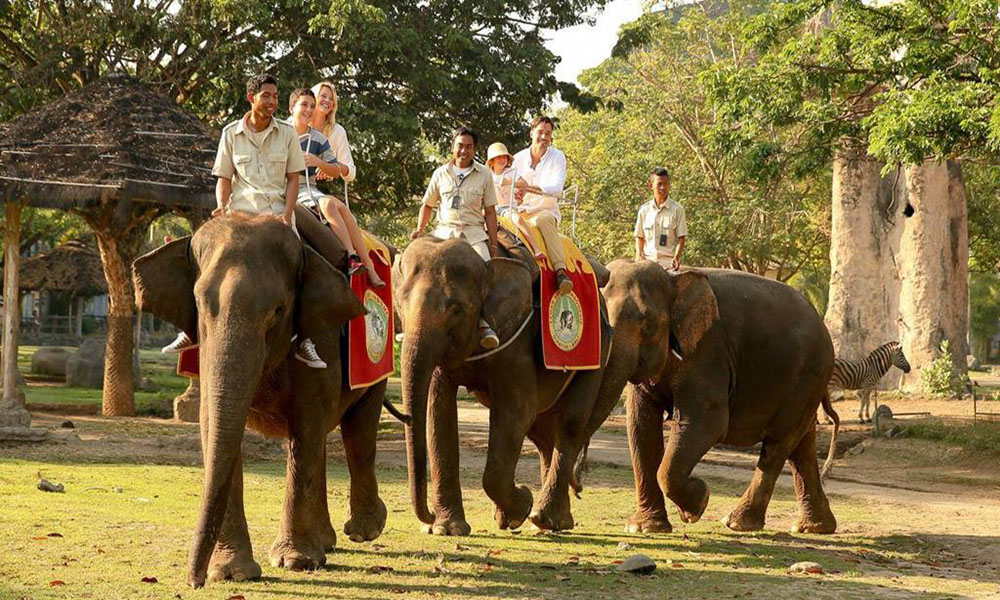 Paket Bali Safari Naik Gajah - sewa mobil bali