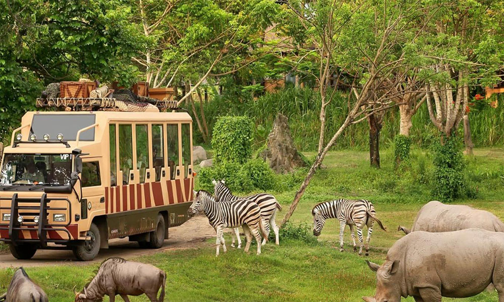 Paket Bali Safari dan Marine Park Jungle Hoper - sewa mobil bali