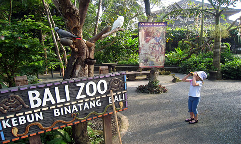 Paket Wisata Bali Zoo Park - sewa mobil bali