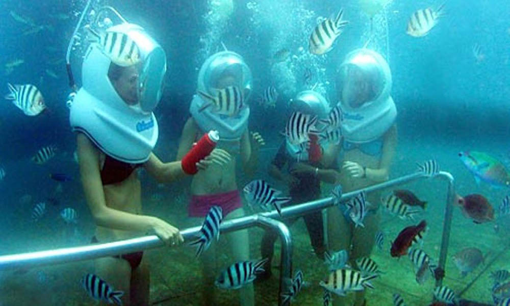 Sea walker - Paket Wisata Bali - sewa mobil bali