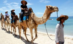Paket Wisata Bali - Naik Unta