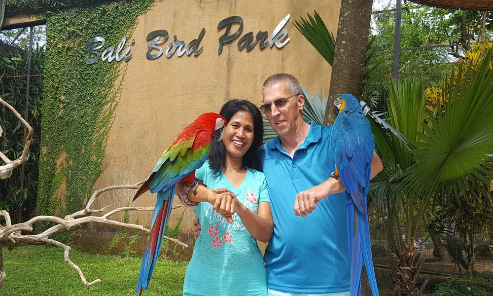 Bali bird park - sewa mobil bali
