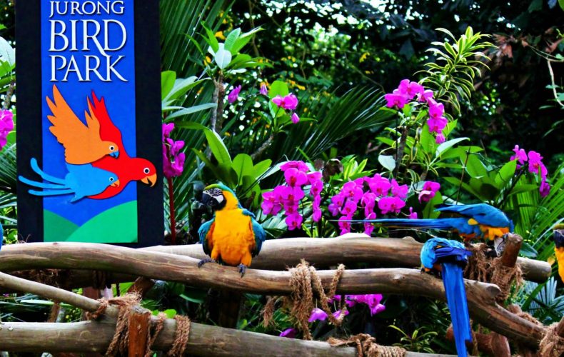 Bali Bird Park - Paket Wisata Bali